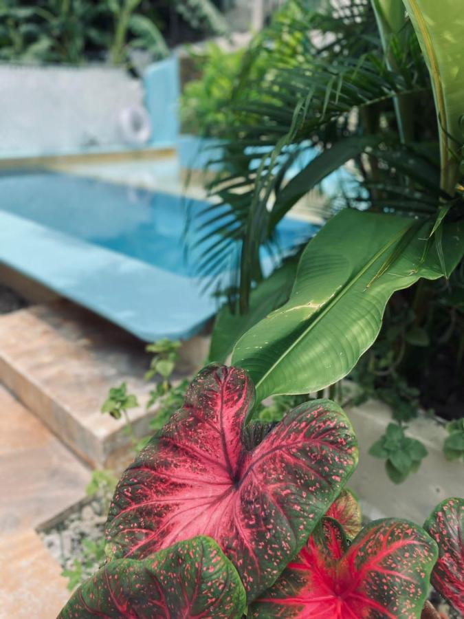 La Sirena Hotel Puerto Escondido  Bagian luar foto